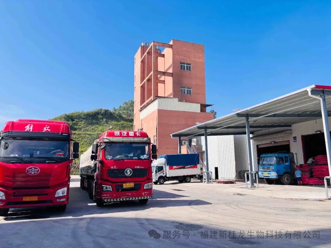 168.5 吨！福建新桂龙再创日发货量新纪录！